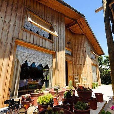 Hostel Сан-Фелипе Экстерьер фото