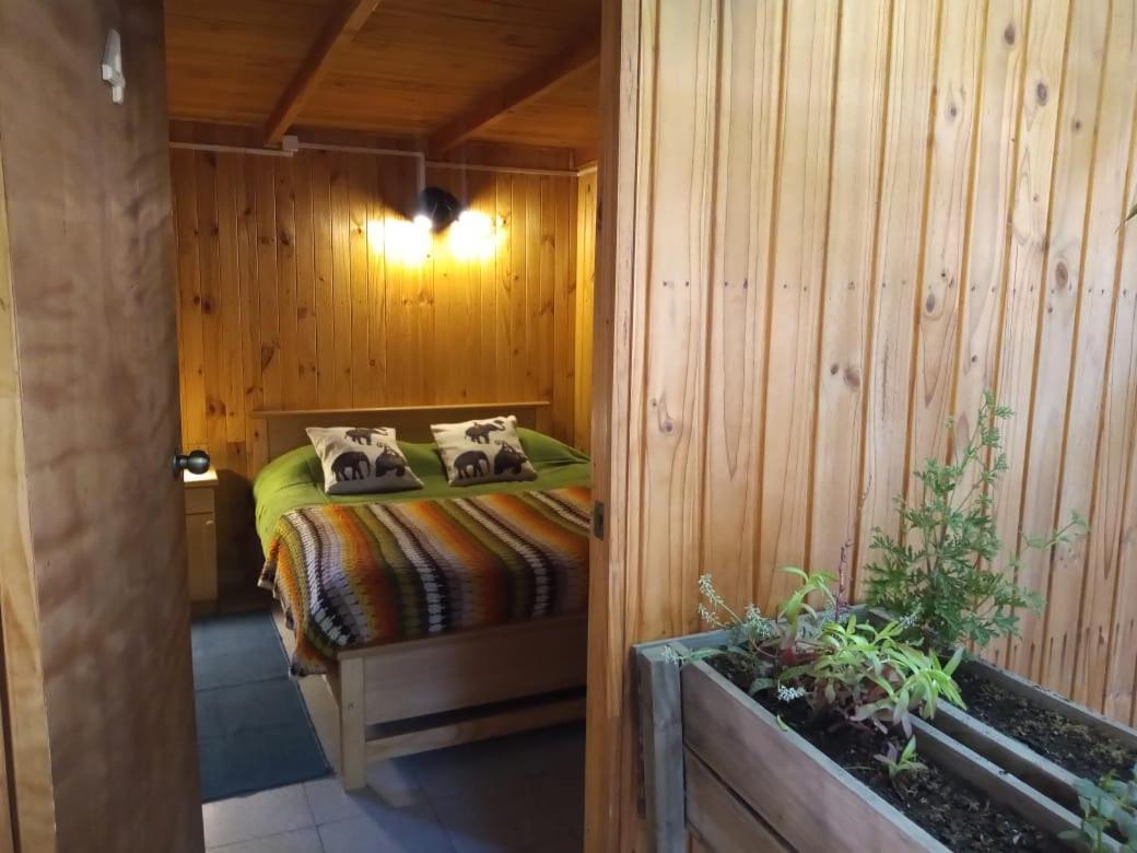 Hostel Сан-Фелипе Экстерьер фото